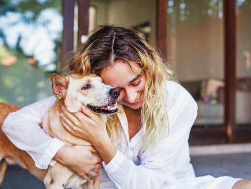 5 Things You Must Do to Add a Pet to Your Existing Lease